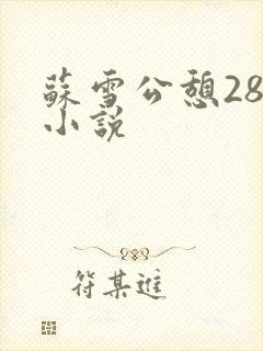 苏雪公憩28篇小说