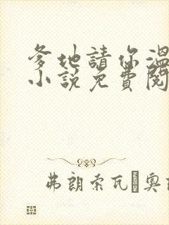 爹地请你温柔点小说免费阅读