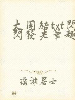 大团结txt闪闪发光笔趣阁