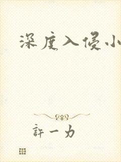 深度入侵小说