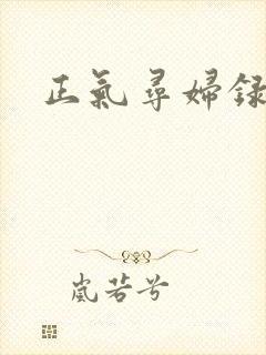 正气寻妇录