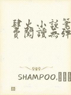 肆火小说笔趣免费阅读无弹窗