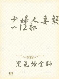 少妇人妻系列1～12部封面