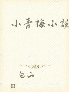 小青梅小说