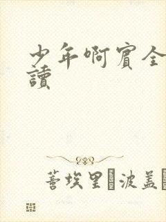 少年啊宾全文阅读封面
