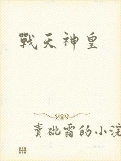 战天神皇封面