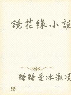 镜花缘小说