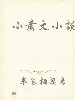 小黄文小说