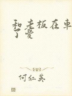 和老板在车里做了爱