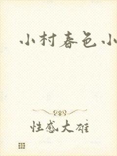 小村春色小说封面