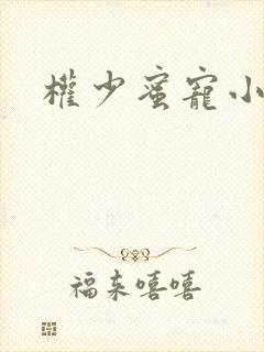 权少蜜宠小娇妻