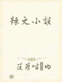 辣文小说
