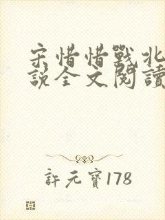 宋惜惜战北望小说全文阅读