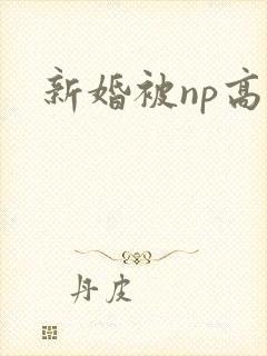 新婚被np高h封面