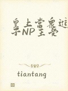 皇上当众进入太子NP主受封面