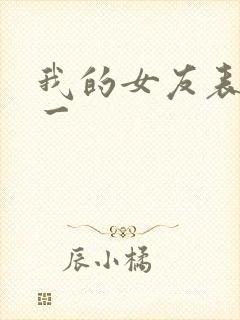 我的女友表里不一封面