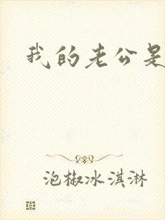 我的老公是冥王