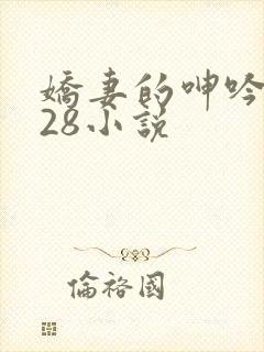 娇妻的呻吟1—28小说