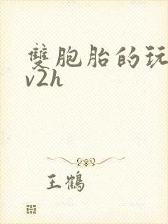 双胞胎的玩具1v2h