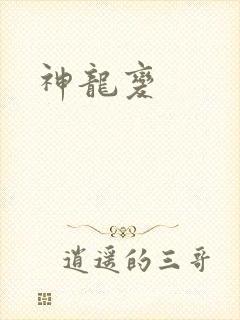 神龙变封面