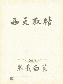 西天取精
