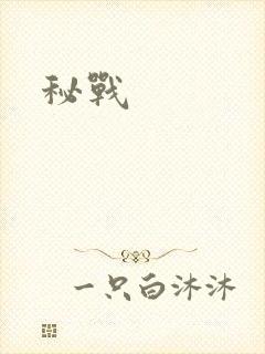 秘战