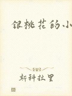 银桃花的小说