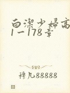 白洁少妇高义第1一178章