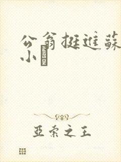 公翁挺进苏玥的小泬