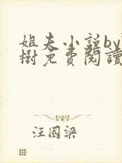 姐夫小说by野树免费阅读全文封面