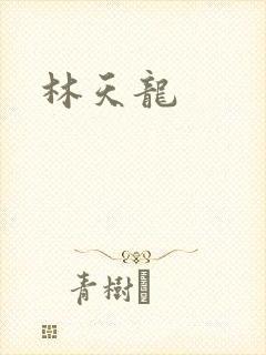 林天龙