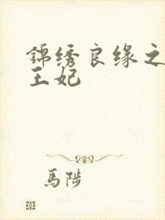 锦绣良缘之北地王妃封面