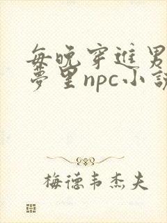 每晚穿进男神的梦里npc小说
