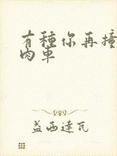 有种你再撞一下肉车