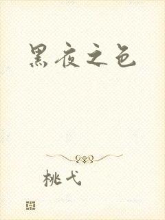 黑夜之色封面