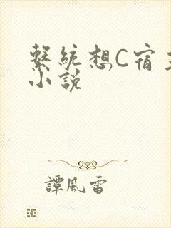 系统想C宿主的小说