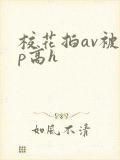 校花拍av被np高h