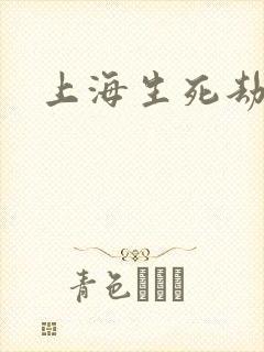 上海生死劫
