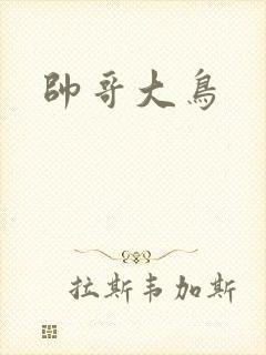 帅哥大鸟