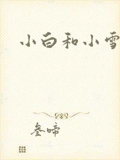 小白和小雪
