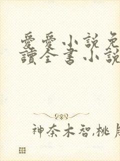 爱爱小说免费阅读全书小说乡村封面