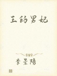 王的男妃封面