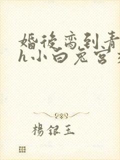 婚后脔到青梅哭h小白兔宫交h封面