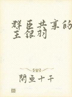 群臣共享的小公主银羽封面