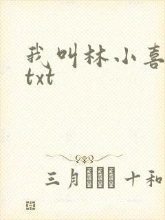 我叫林小喜小说txt封面
