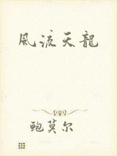 风流天龙封面