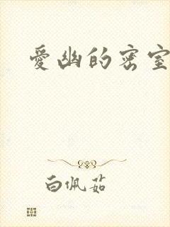 爱幽的密室小说