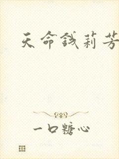 天命钱莉芳封面