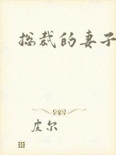 总裁的妻子封面