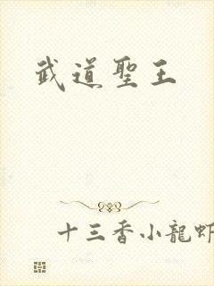 武道圣王